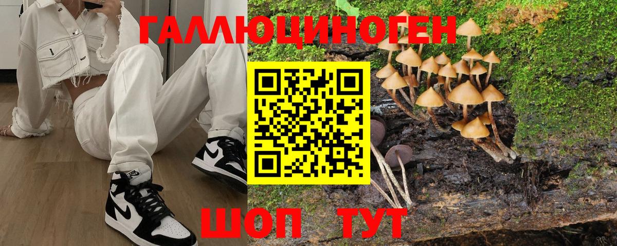 Галлюциногенные грибы Psilocybe  Галлюциногенные грибы мицелий  Губаха  Вход с VPN 